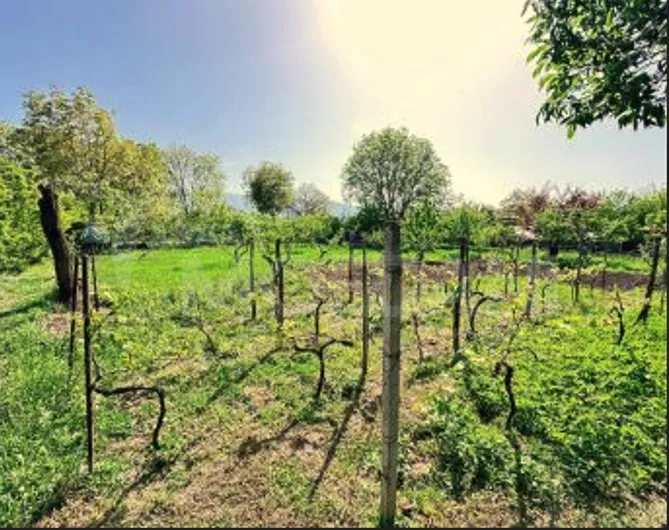 Продам земельный участок 1000м² Mckheta - photo 1