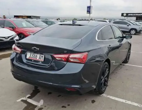 Chevrolet Malibu 2021 Tbilisi