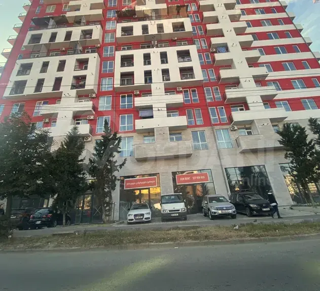 Apartments For Rent two-room 57м² 11/15 floor Tbilisi - photo 12