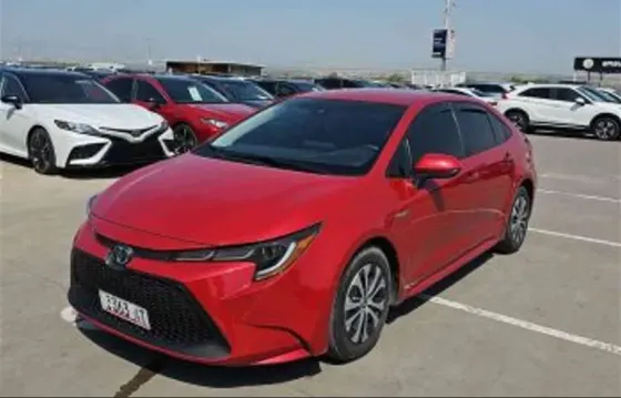 Toyota Corolla 2021 Tbilisi