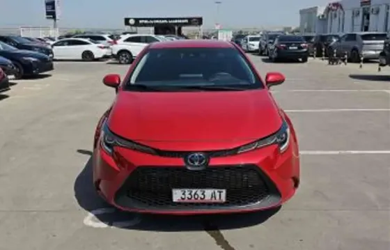 Toyota Corolla 2021 Tbilisi