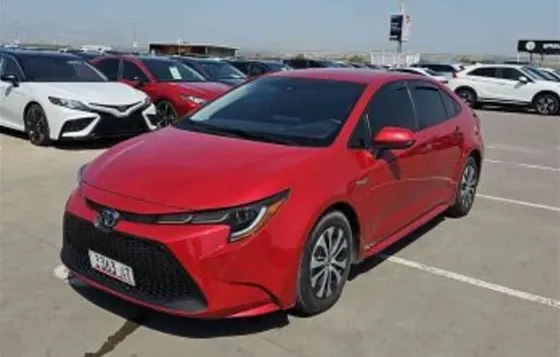 Toyota Corolla 2021 Tbilisi