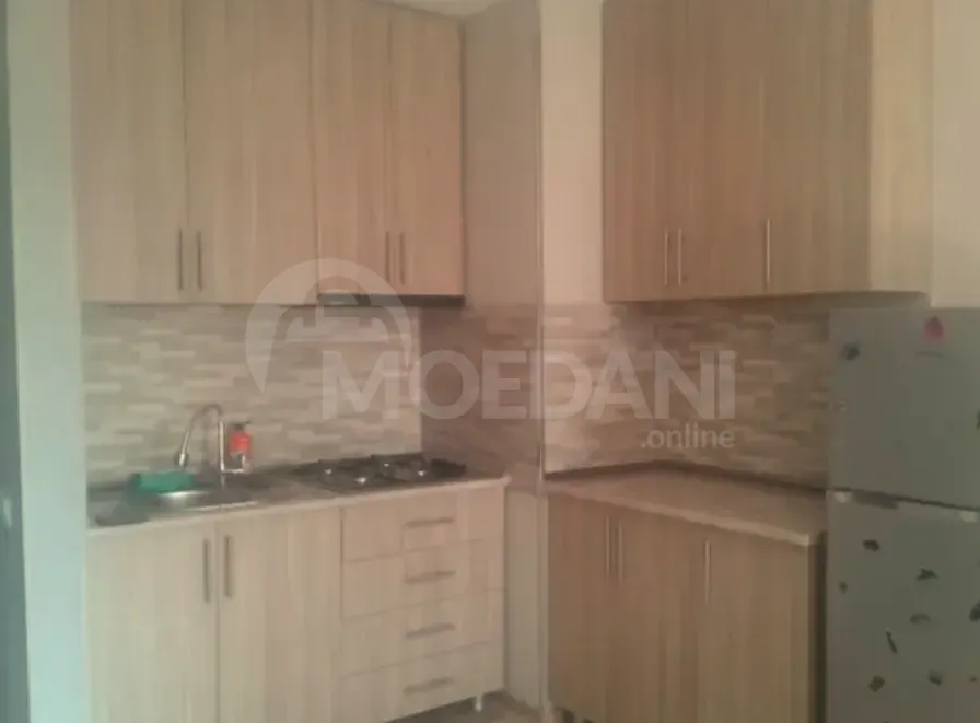Apartments For Rent two-room 52м² 3/12 floor Tbilisi - photo 4