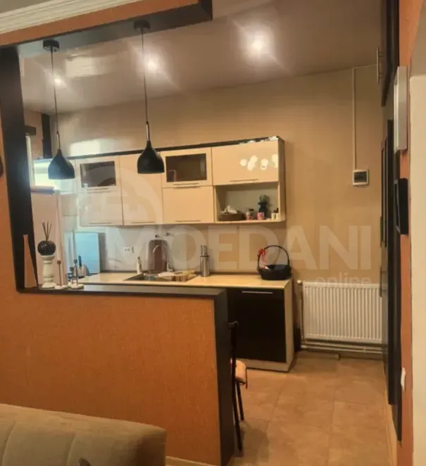 Apartments For Rent two-room 67м² 1/1 floor Tbilisi - photo 2