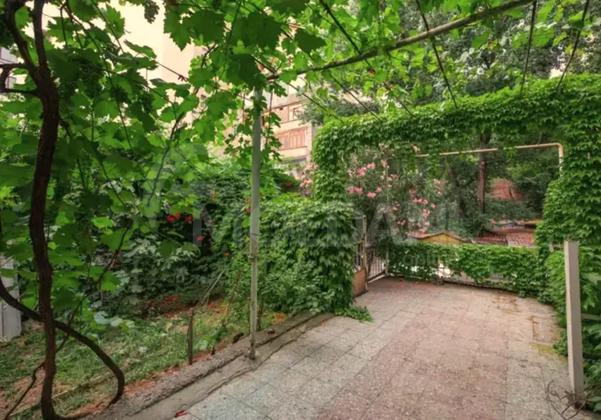 Apartments For Rent one-room 35м² 1/1 floor Tbilisi - photo 4