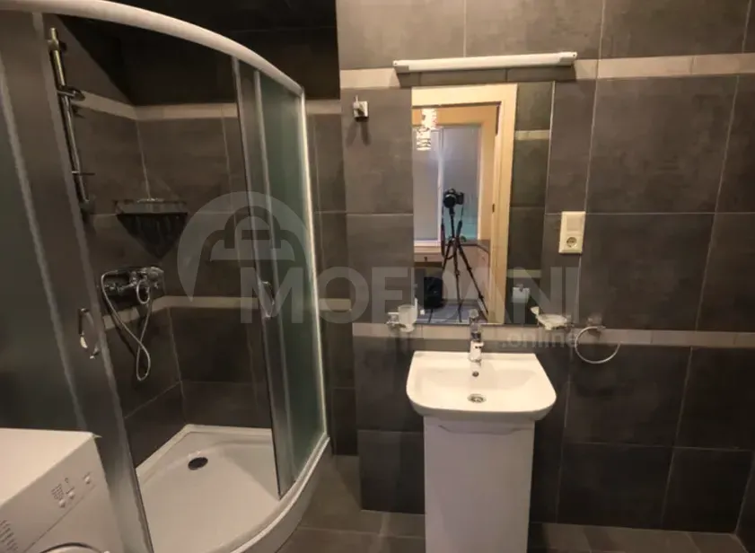 Apartments For Rent one-room 35м² 1/1 floor Tbilisi - photo 3