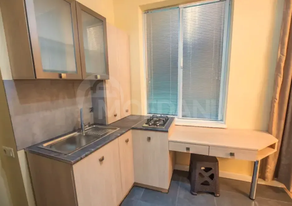 Apartments For Rent one-room 35м² 1/1 floor Tbilisi - photo 6