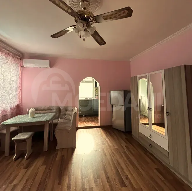 Apartments For Rent two-room 45м² 1/1 floor Tbilisi - photo 3