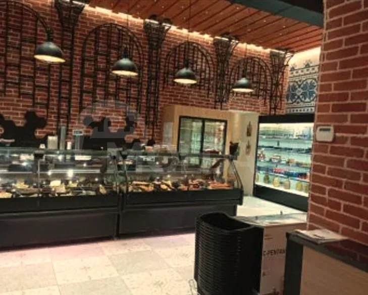 Commercial space for rent Tbilisi - photo 8