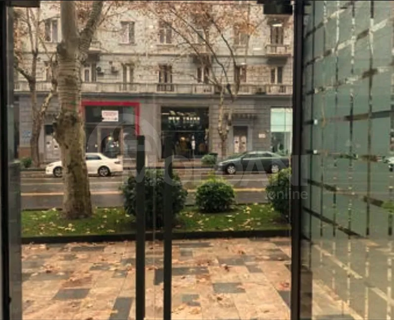 Commercial office space for rent in Vake Tbilisi - photo 4