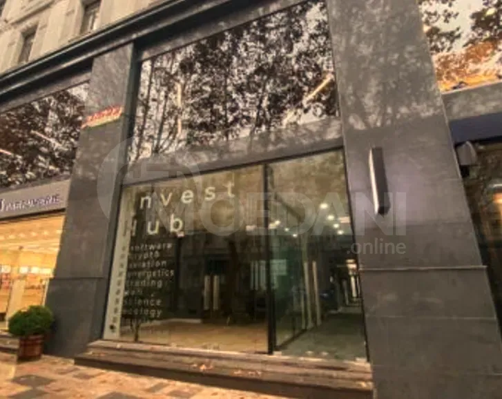 Commercial office space for rent in Vake Tbilisi - photo 3