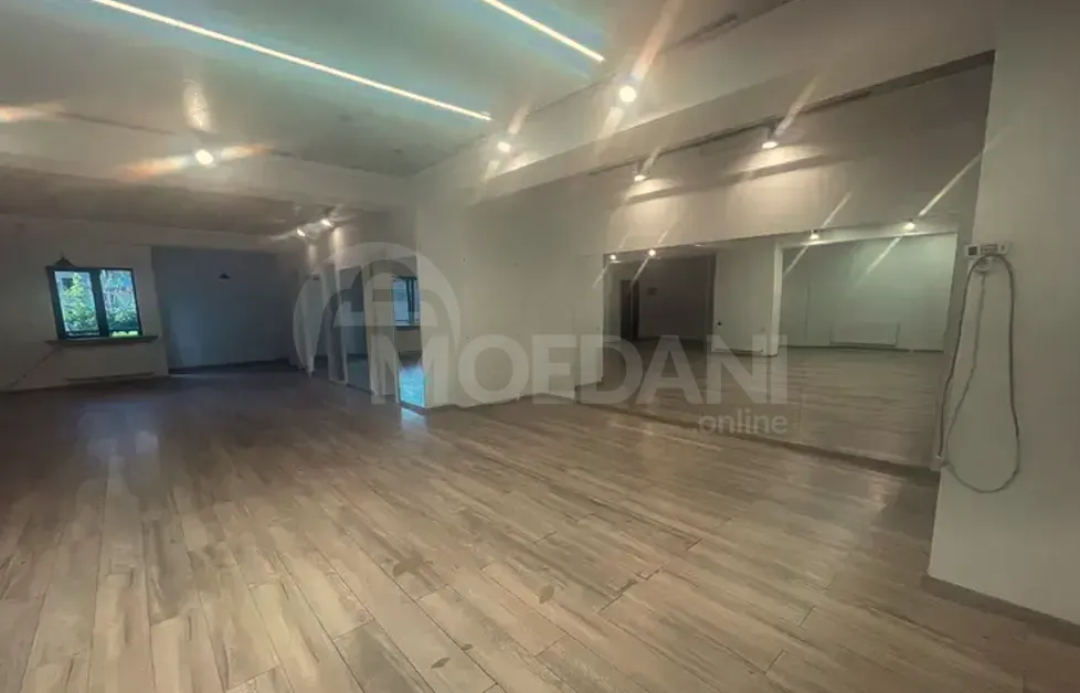 Коммерческое офисное помещение. Тбилиси - изображение 3