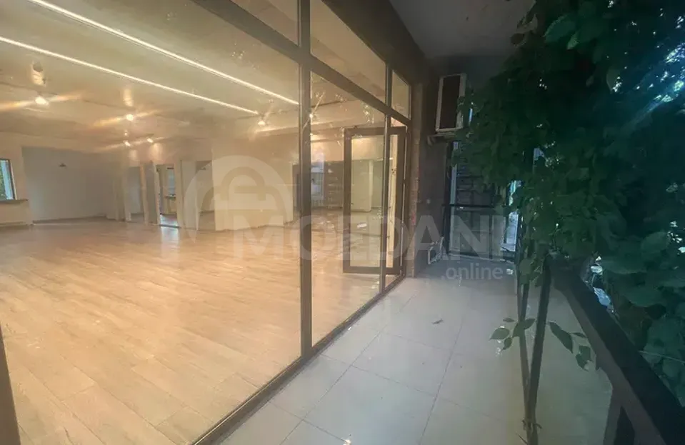 Коммерческое офисное помещение. Тбилиси - изображение 5