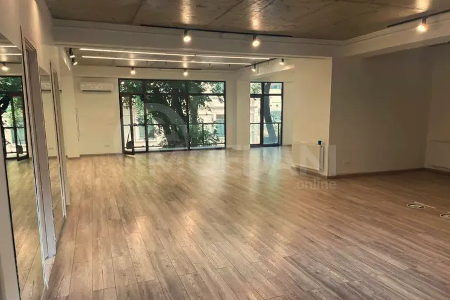 Коммерческое офисное помещение. Тбилиси - изображение 7