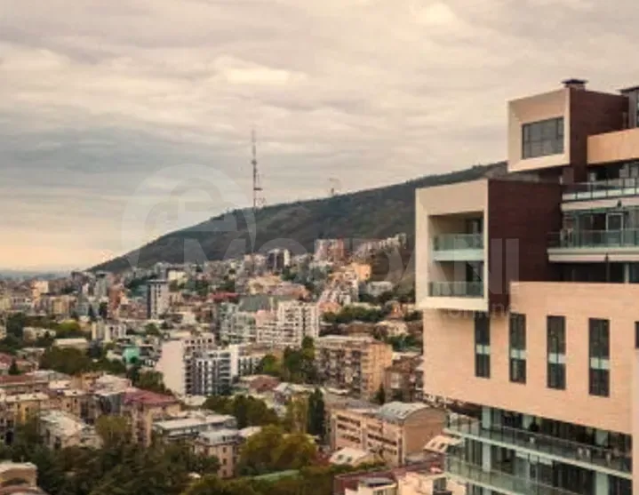 Commercial office space for rent in Vake. Tbilisi - photo 8