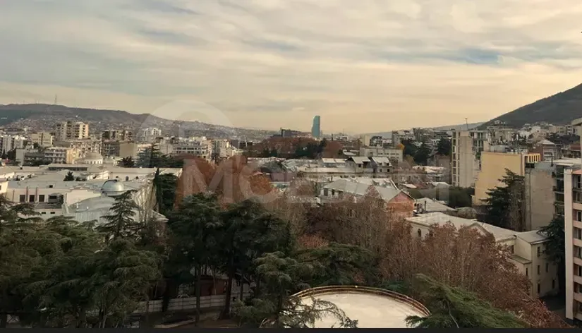 იყიდება 5 ოთახიანი ბინას 445მ² 10/10 სართ თბილისი - photo 12