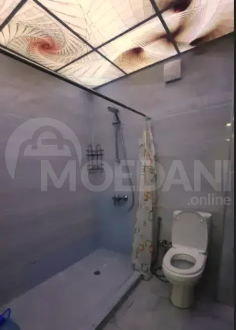 Apartments For Sale two-room 62м² 13/13 floor Tbilisi - photo 7