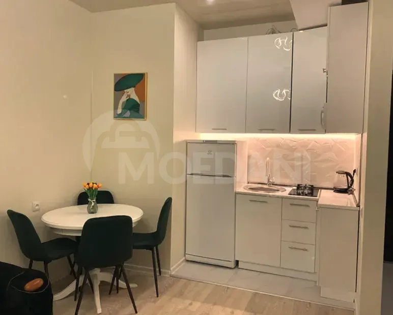 Apartments For Sale two-room 47м² 7/13 floor Tbilisi - photo 6