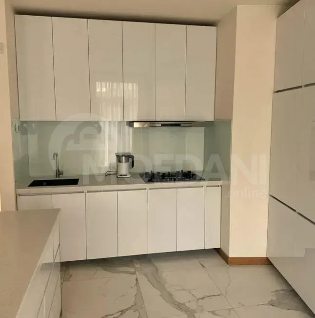 იყიდება 6 ოთახიანი ბინას 248მ² 2/3 სართ თბილისი - photo 3