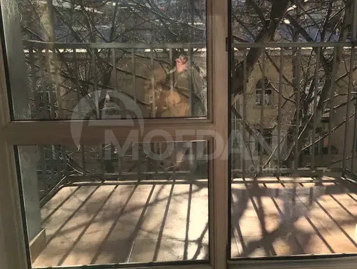 Apartments For Sale three-room 220м² 5/5 floor Tbilisi - photo 11