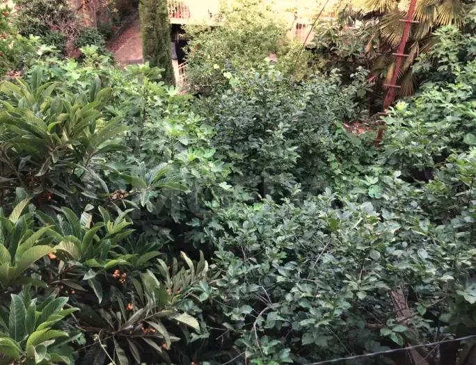 Продам 5-комн. квартиру 220м² 3/3 эт. Тбилиси - изображение 12