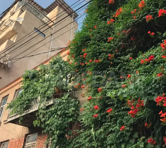 Продам 5-комн. квартиру 220м² 3/3 эт. Тбилиси - изображение 11