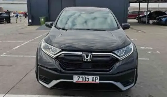 Honda CR-V 2020 Тбилиси