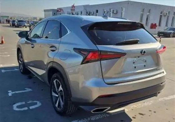 Lexus NX 2018 თბილისი