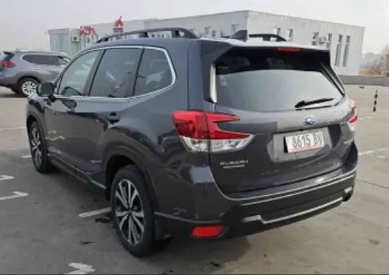 Subaru Forester 2024 Тбилиси