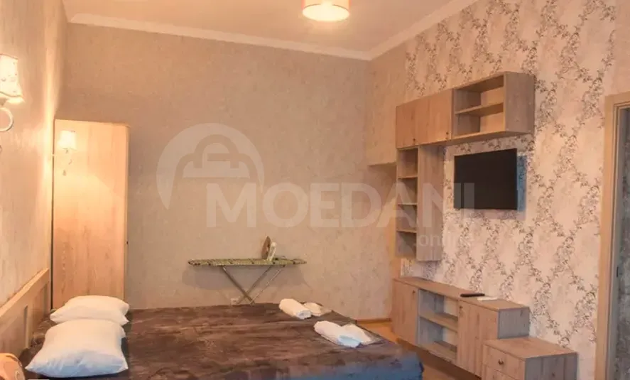 ქირავდება 1 ოთახიანი ბინა 40მ² 2/2 სართ თბილისი - photo 2