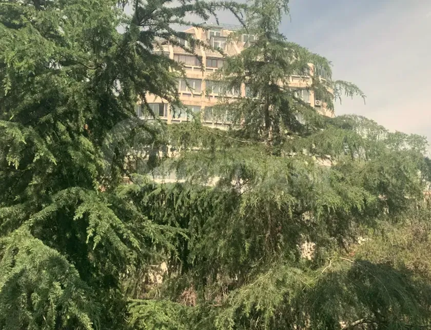 იყიდება 4 ოთახიანი ბინას 123მ² 8/9 სართ თბილისი - photo 9