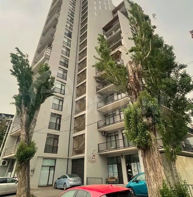 Apartments For Sale two-room 70м² 18/18 floor Tbilisi - photo 9