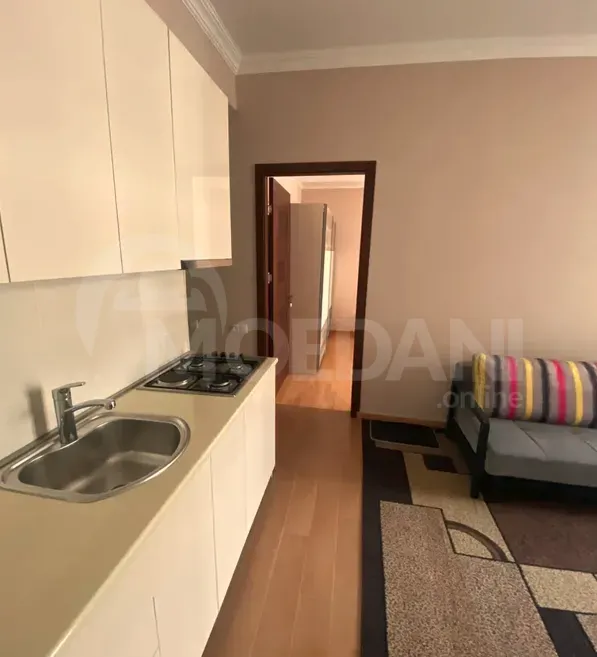 Apartments For Sale two-room 55м² 11/13 floor Tbilisi - photo 2
