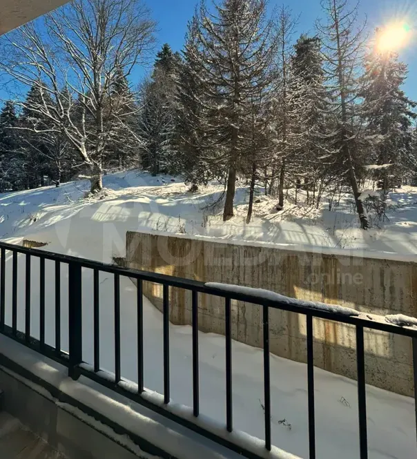 Продам 1-комн. квартиру 28.7м² 2/5 эт. Боржоми - изображение 11