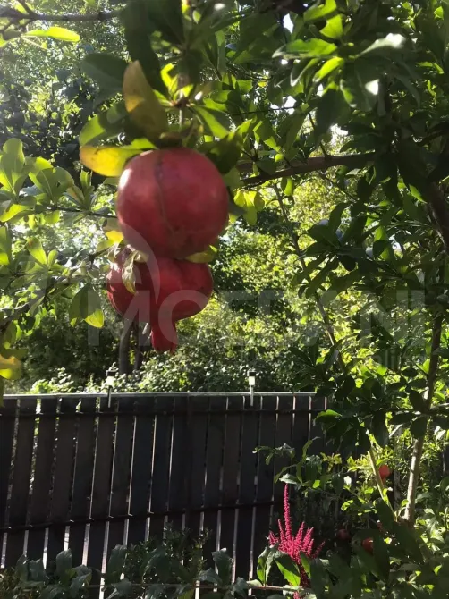 House for sale 310м² Tbilisi - photo 5