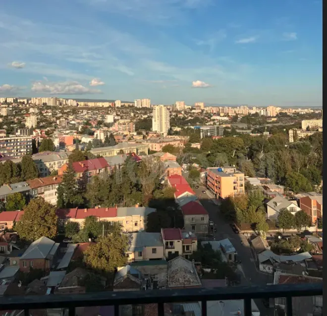 Apartments For Sale two-room 46.8м² 16/18 floor Tbilisi - photo 11