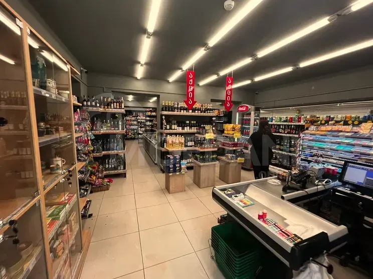 Сдается универсальное коммерческое помещение на Сабуртало Тбилиси - изображение 2