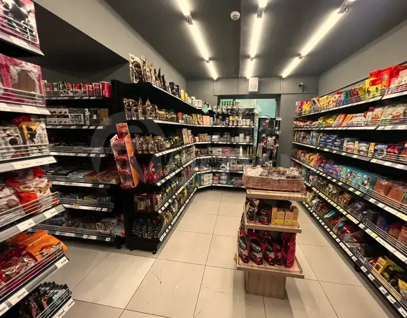 Сдается универсальное коммерческое помещение на Сабуртало Тбилиси - изображение 5