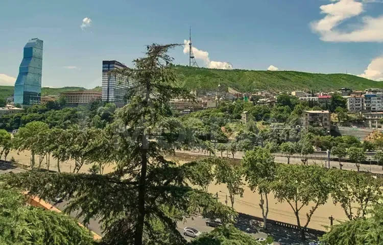 ქირავდება 2 ოთახიანი ბინა 70მ² 7/7 სართ თბილისი - photo 11