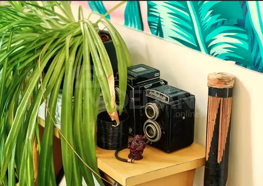 ქირავდება 2 ოთახიანი ბინა 70მ² 7/7 სართ თბილისი - photo 9