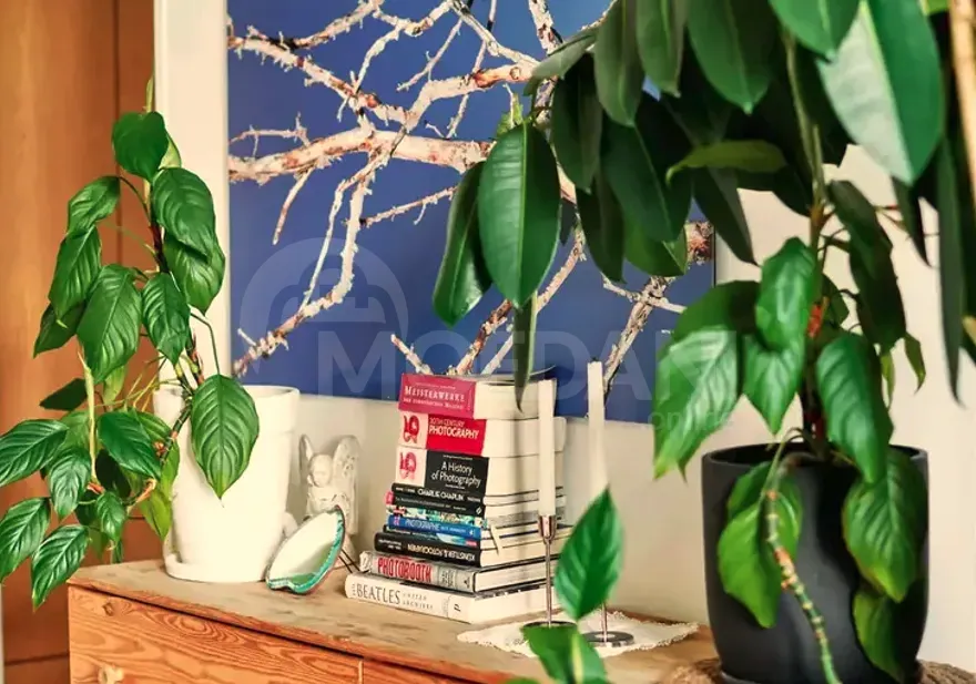 ქირავდება 2 ოთახიანი ბინა 70მ² 7/7 სართ თბილისი - photo 8