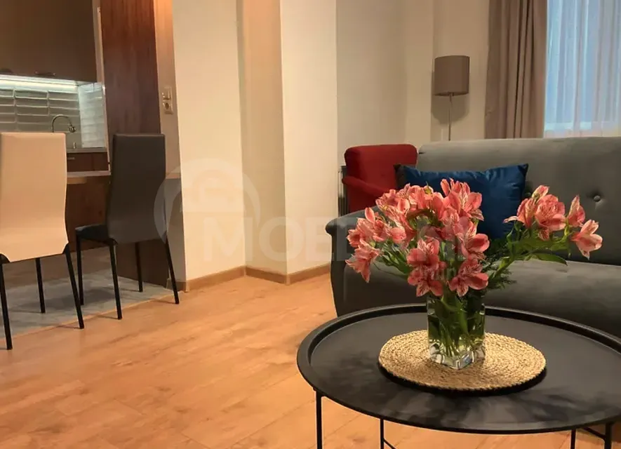 ქირავდება 2 ოთახიანი ბინა 50მ² 1/7 სართ თბილისი - photo 2