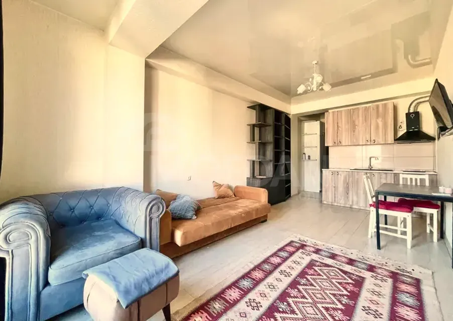 Сдам 1-комн. квартиру 38м² 12/16 эт. Тбилиси - изображение 5