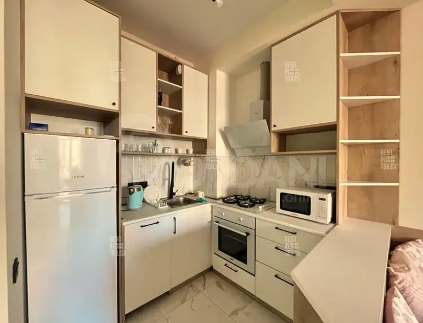 ქირავდება 2 ოთახიანი ბინა 60მ² 9/16 სართ თბილისი - photo 3