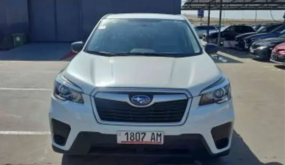 Subaru Forester 2019 Tbilisi