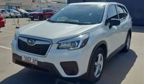 Subaru Forester 2019 Tbilisi