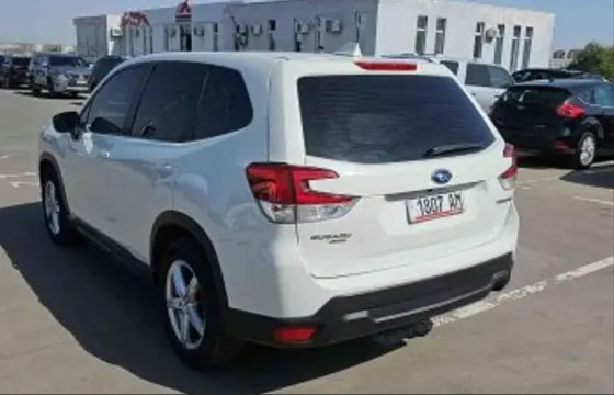 Subaru Forester 2019 Tbilisi