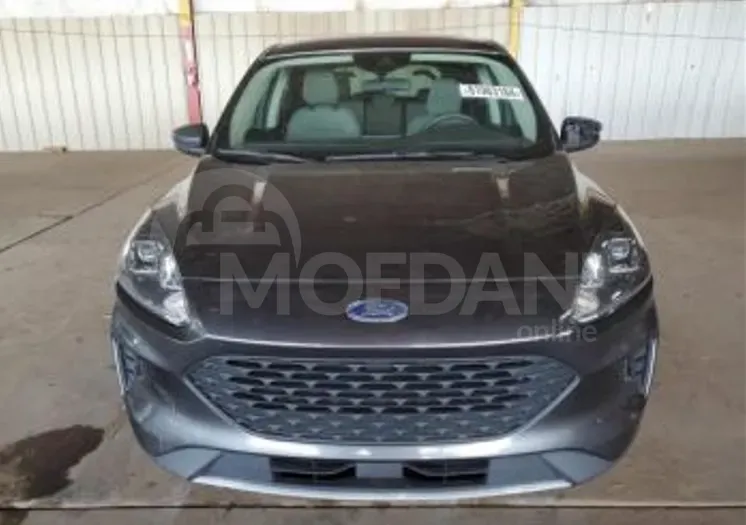 Ford Escape 1.5L 2020 თბილისი - photo 1