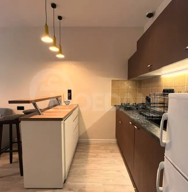 ქირავდება 2 ოთახიანი ბინა 48მ² 16/16 სართ ბათუმი - photo 3