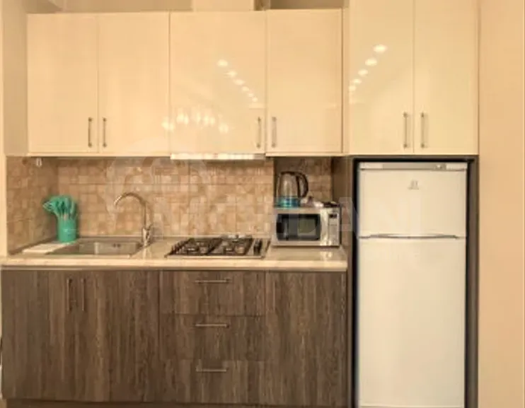 Сдам 2-комн. квартиру на сутки в Тбилиси  55м² 10/14 эт. Тбилиси - изображение 5